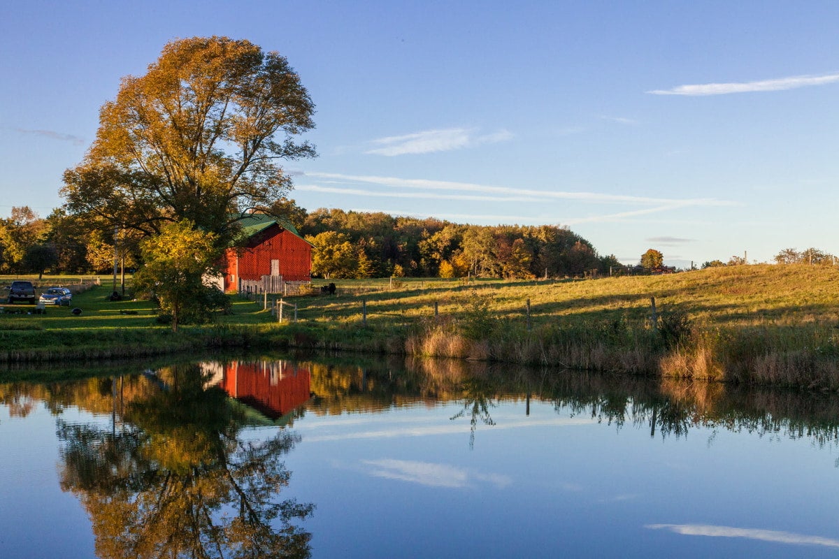 content.banner.value.0.banner_poster.value.0.title.value