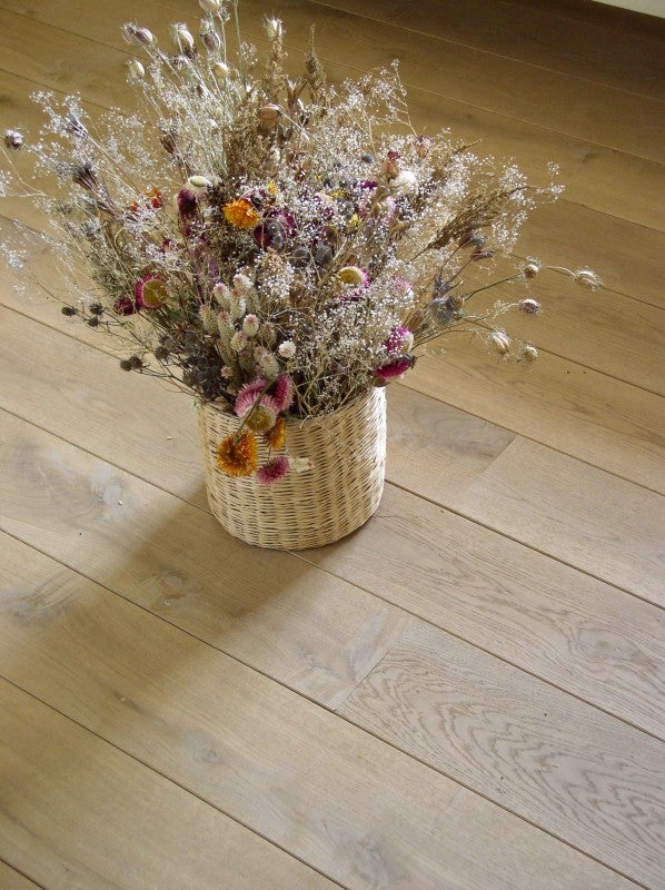 picture alternative text