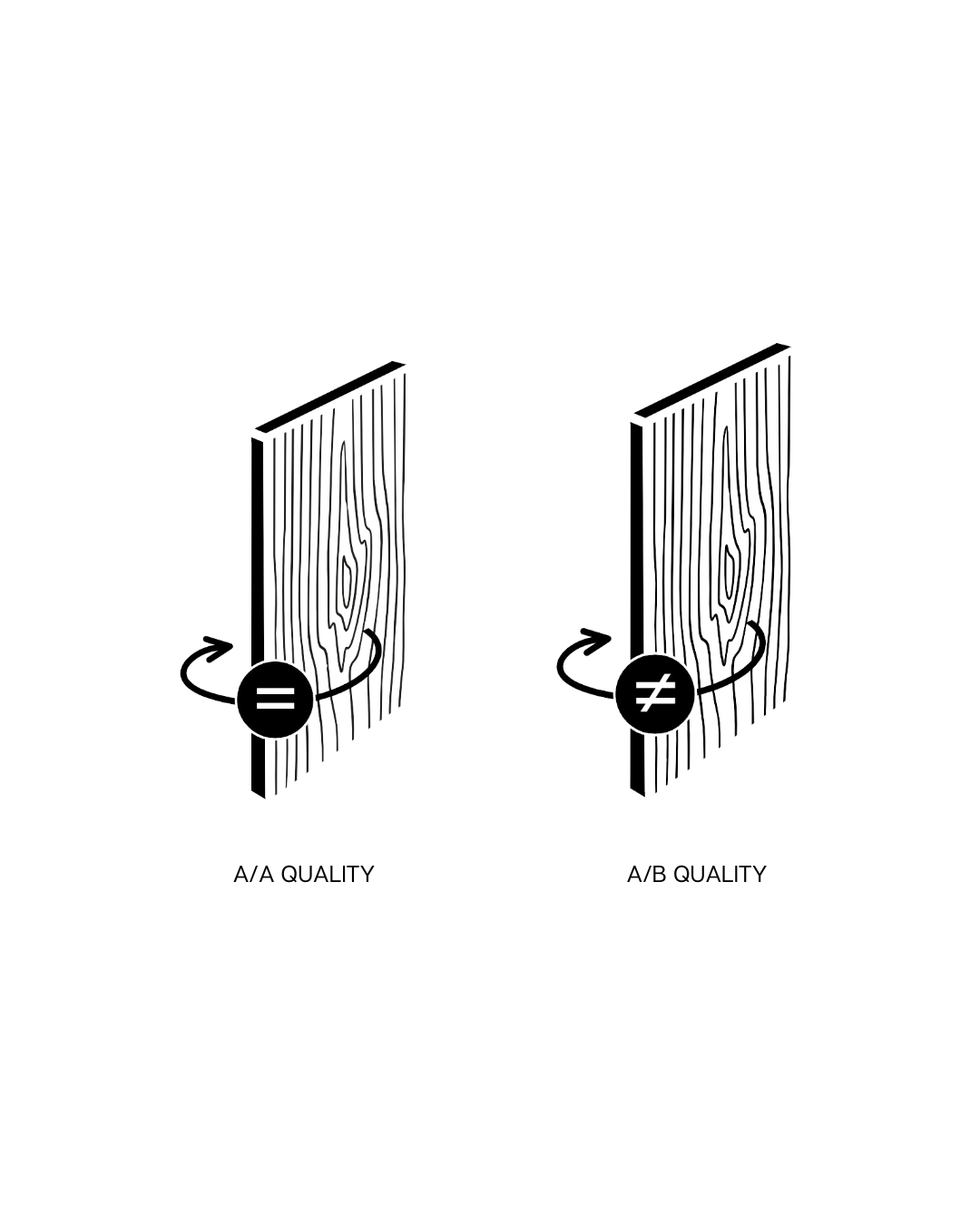 picture alternative text