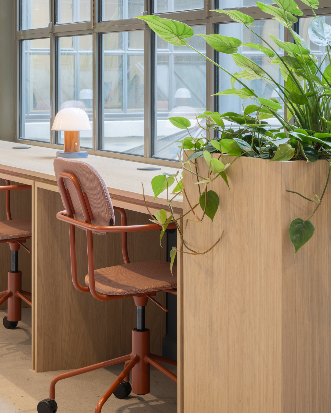 Project_Shinnoki_Ivory_Oak_office_Paris