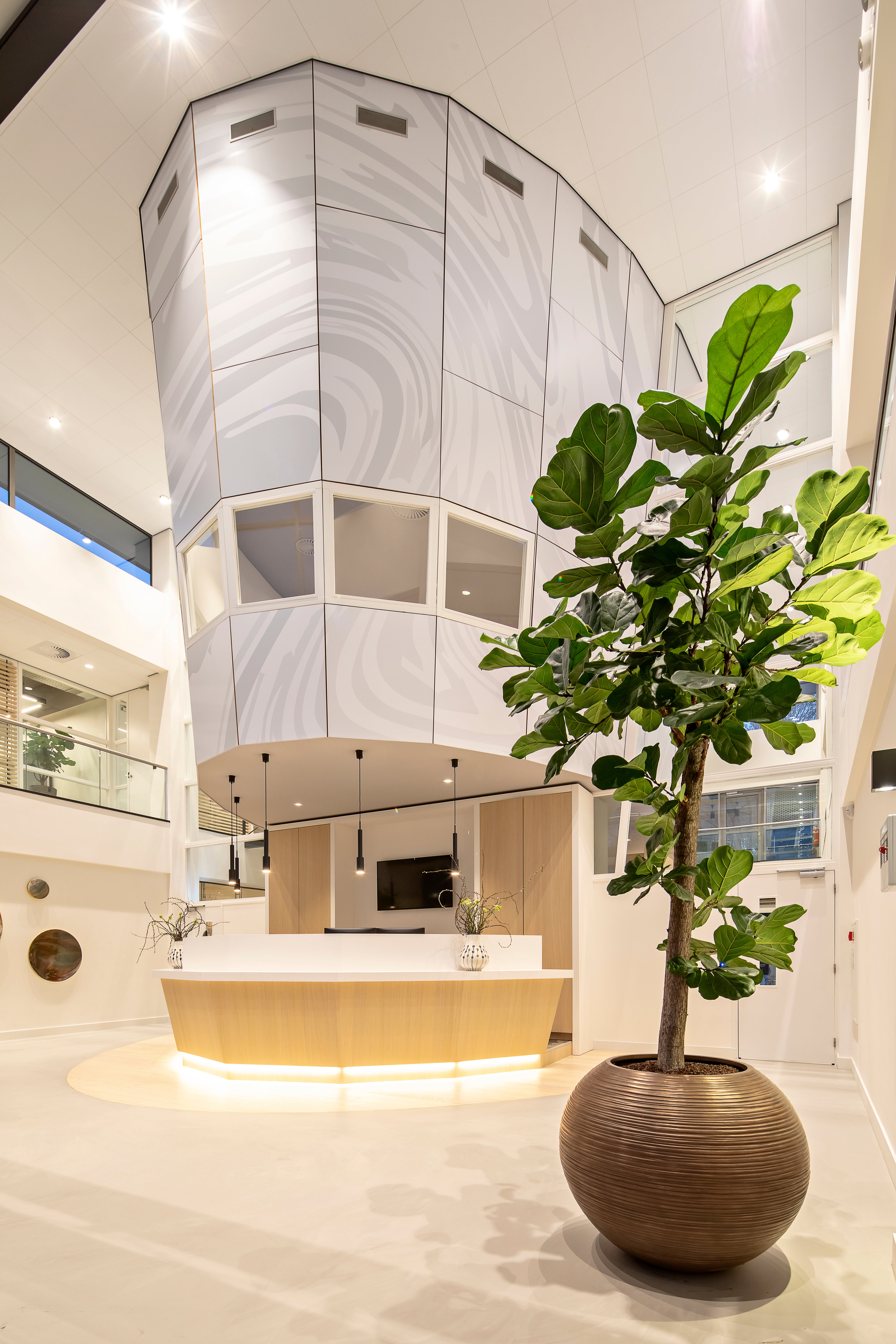 oak - reception - wood reception - wooden reception - oak reception - Shinnoki - Parky - Cabbani