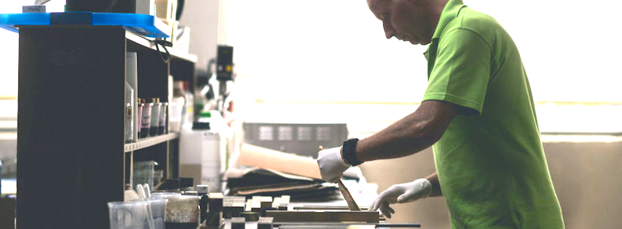 picture alternative text