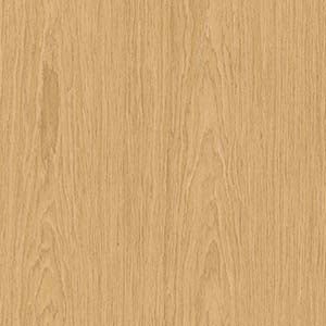 picture alternative text