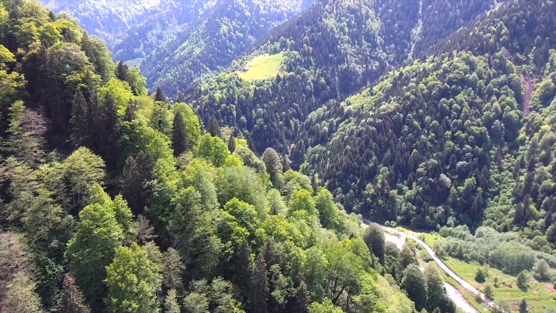 picture alternative text