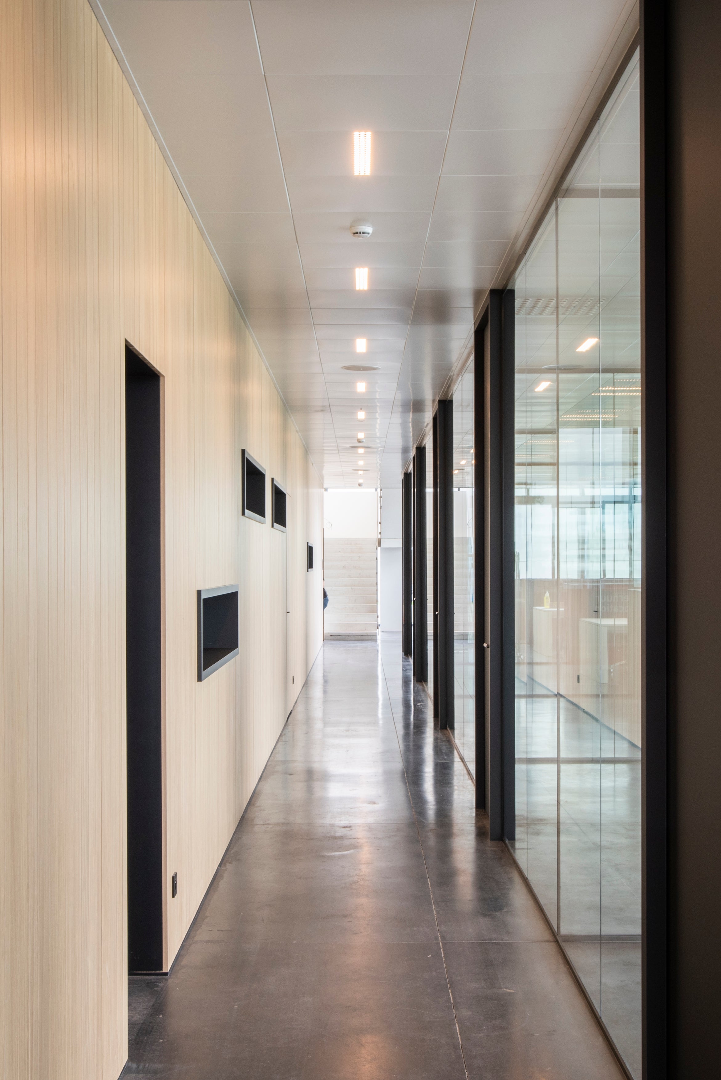 Shinnoki - panels - wall panels- wooden wall panels - ivory oak - oak panels 