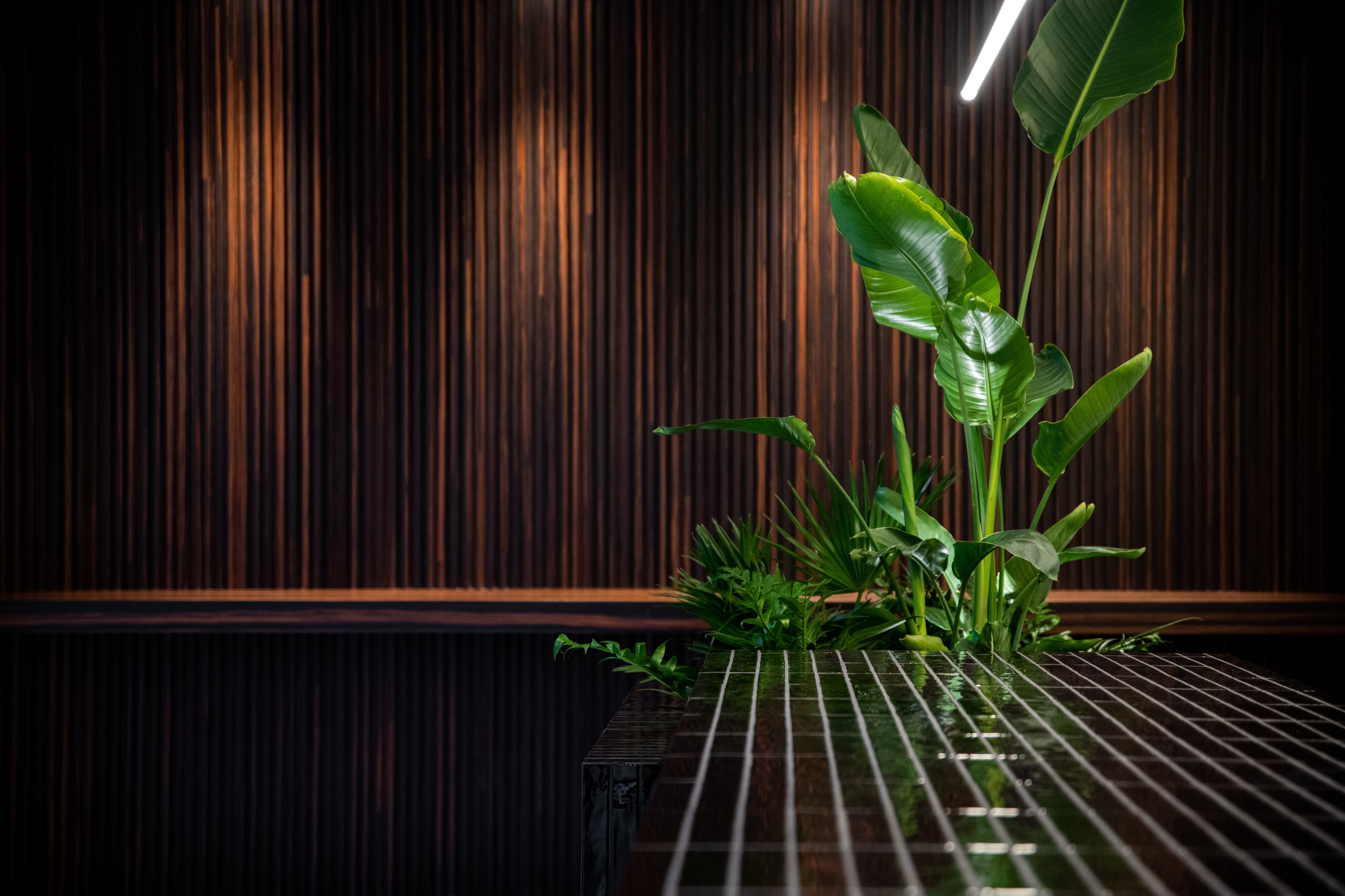 Decospan dark wood panels - wood panels gym - dark wooden wall - dark wood wall - infinite wood corvus ebony