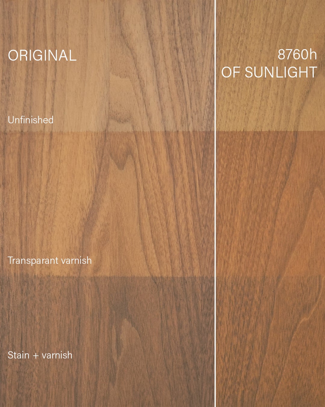 picture alternative text