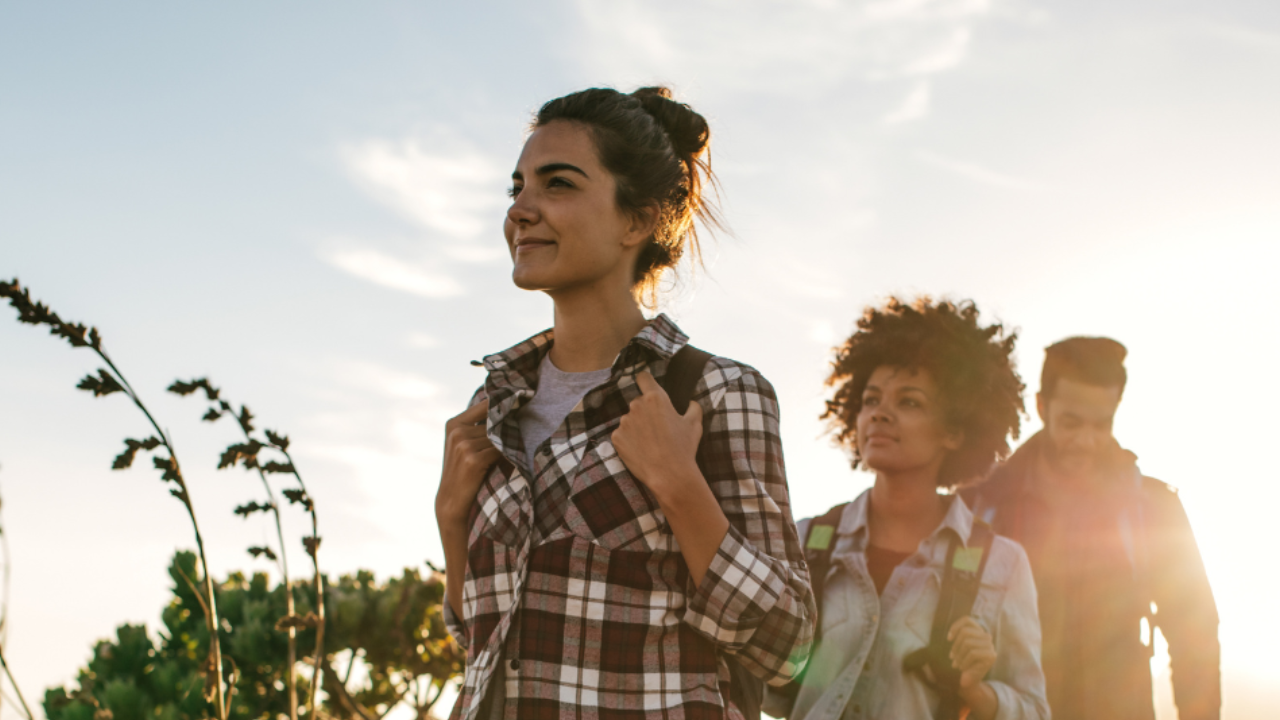 picture alternative text