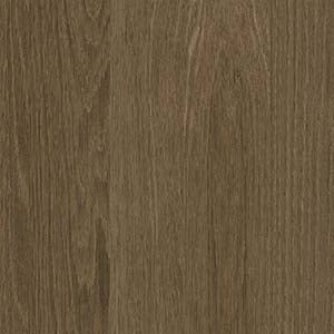 picture alternative text