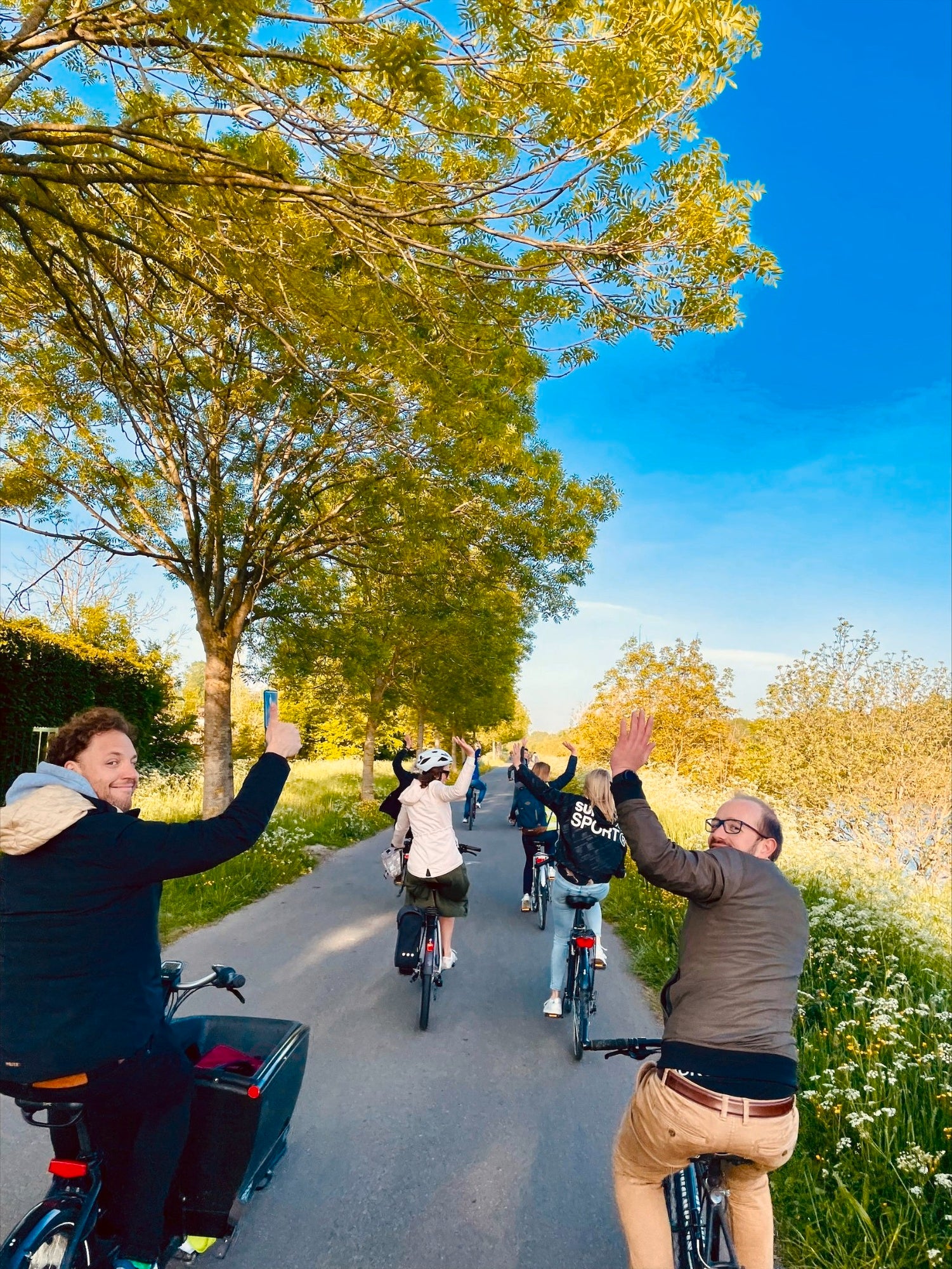 picture alternative text