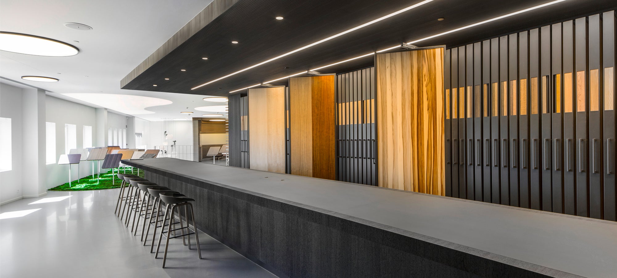 picture alternative text