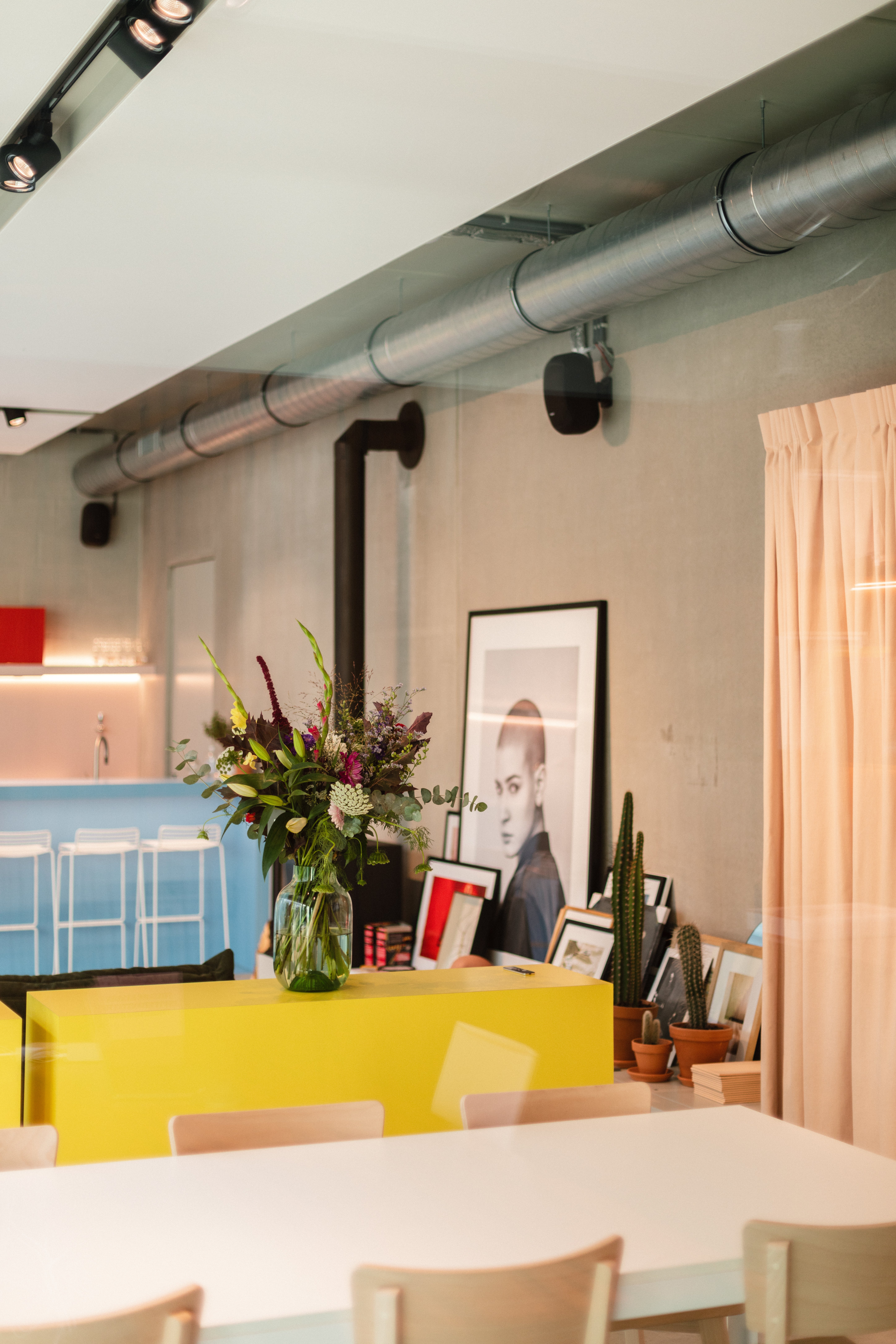 picture alternative text