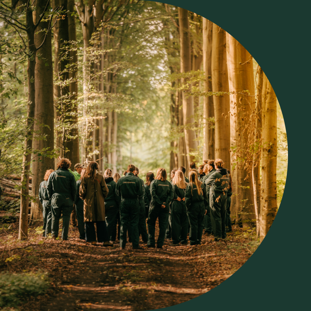 Decospan - corporate sustainability report - forest banner