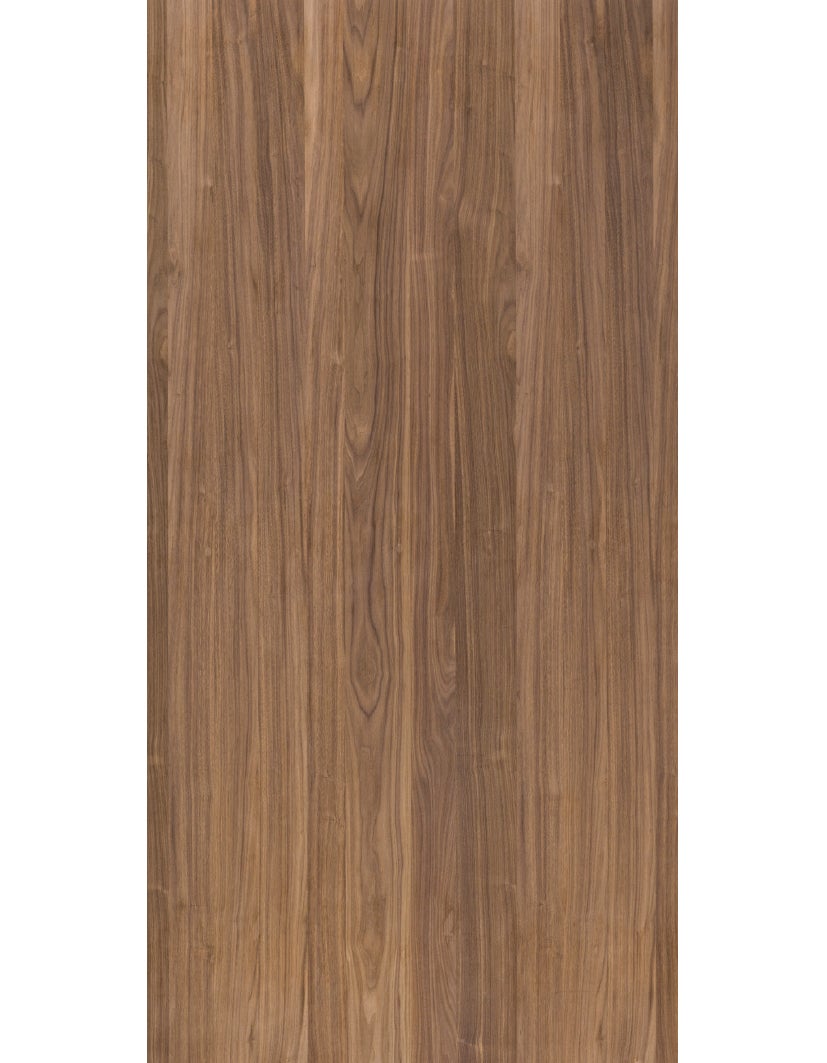 picture alternative text