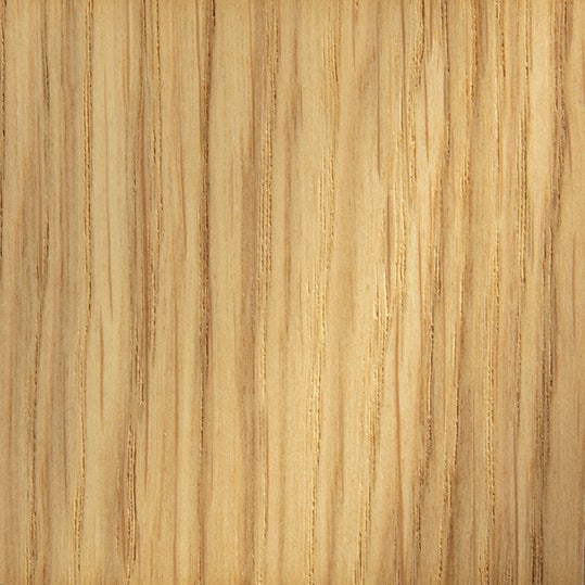 picture alternative text