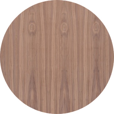 picture alternative text