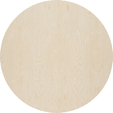 picture alternative text