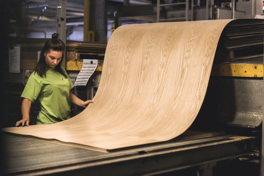 picture alternative text