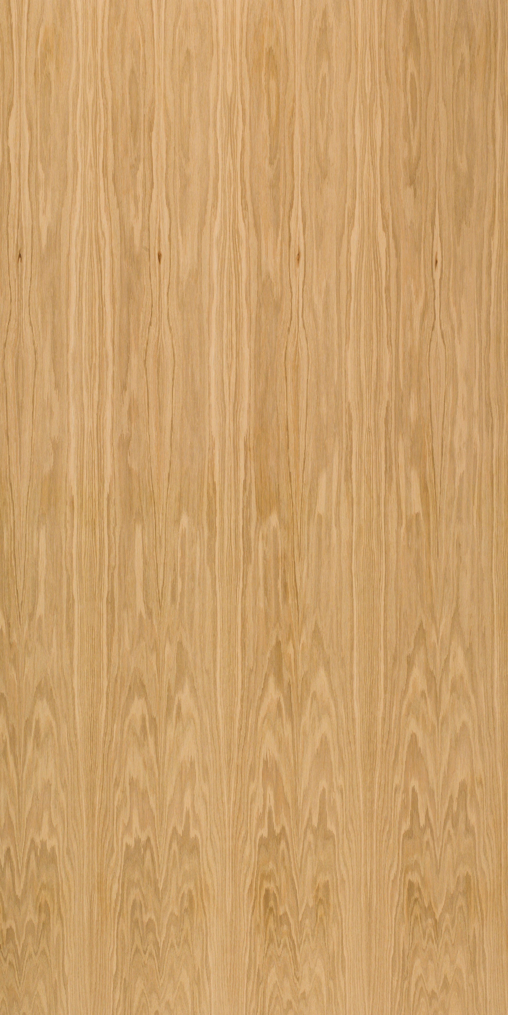 picture alternative text