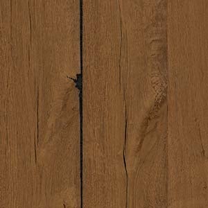 picture alternative text