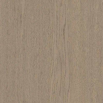 picture alternative text