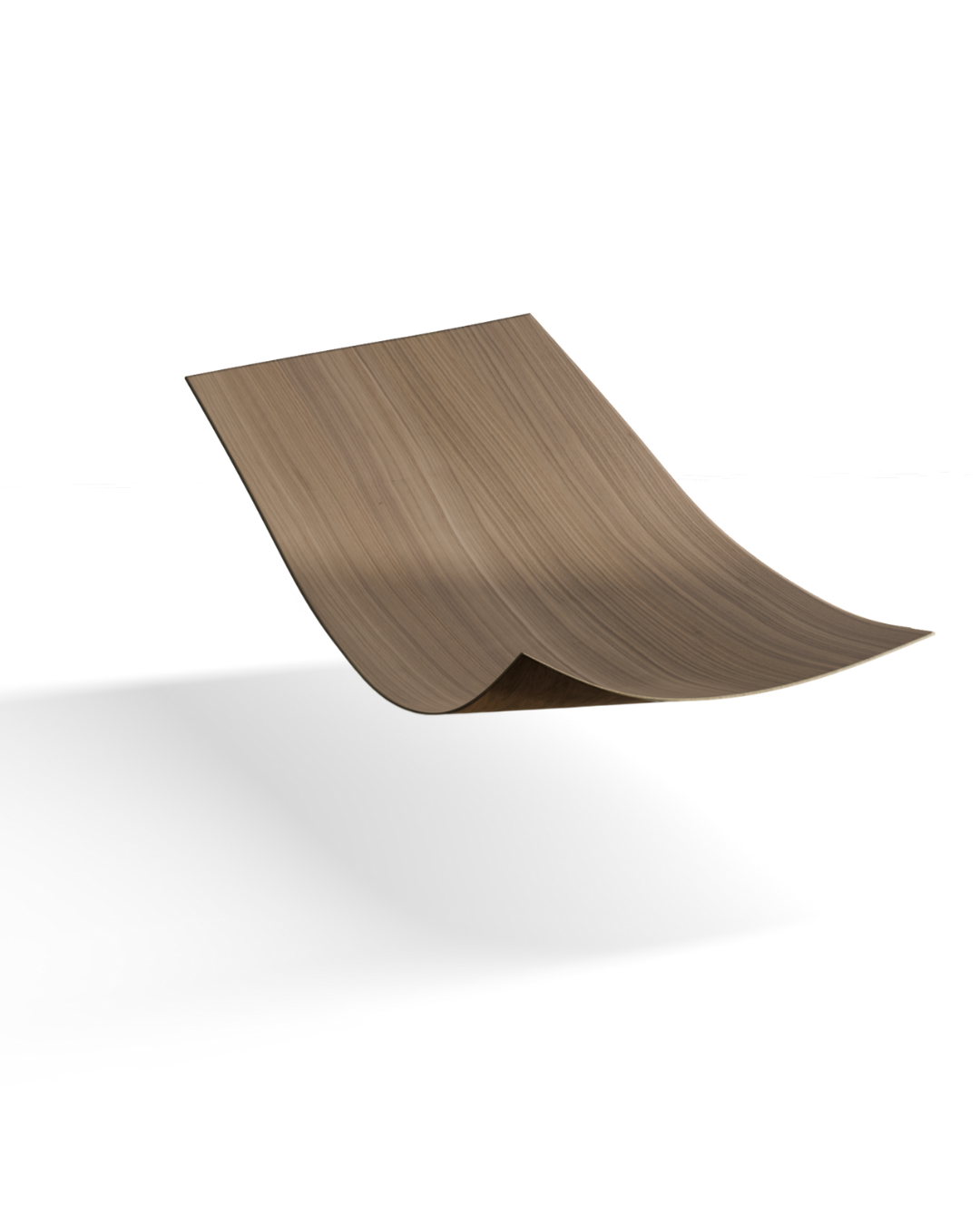 picture alternative text