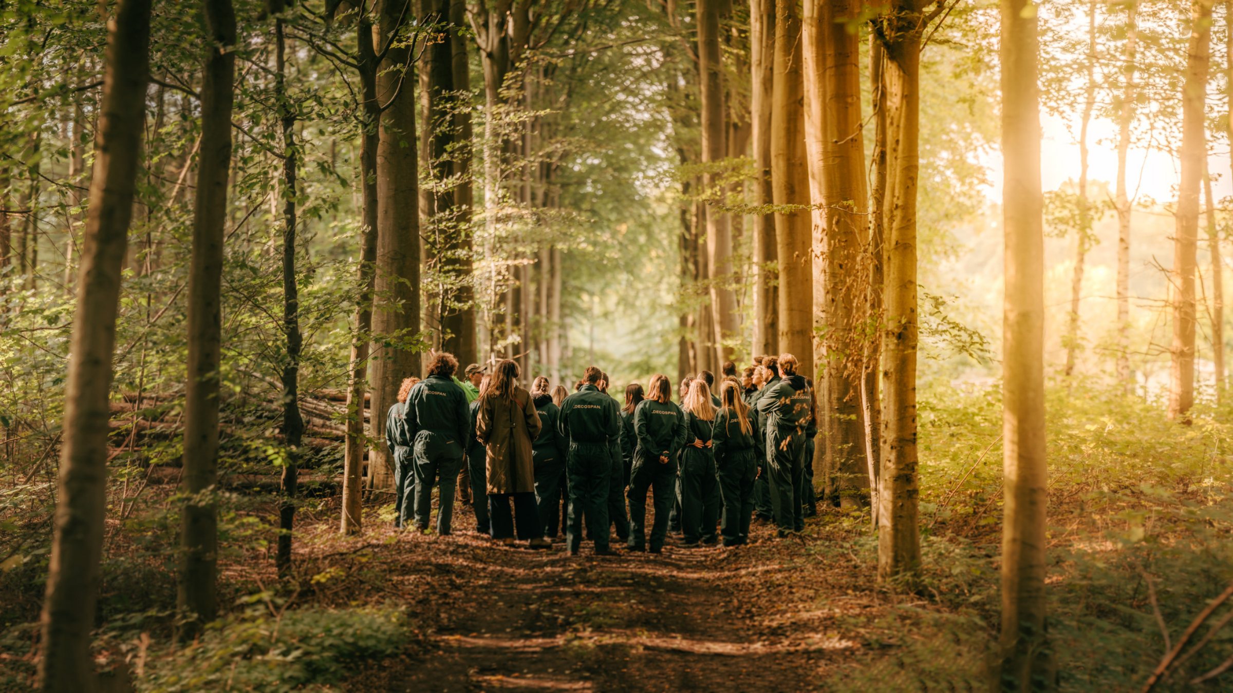 Decospan - the spirit of wood