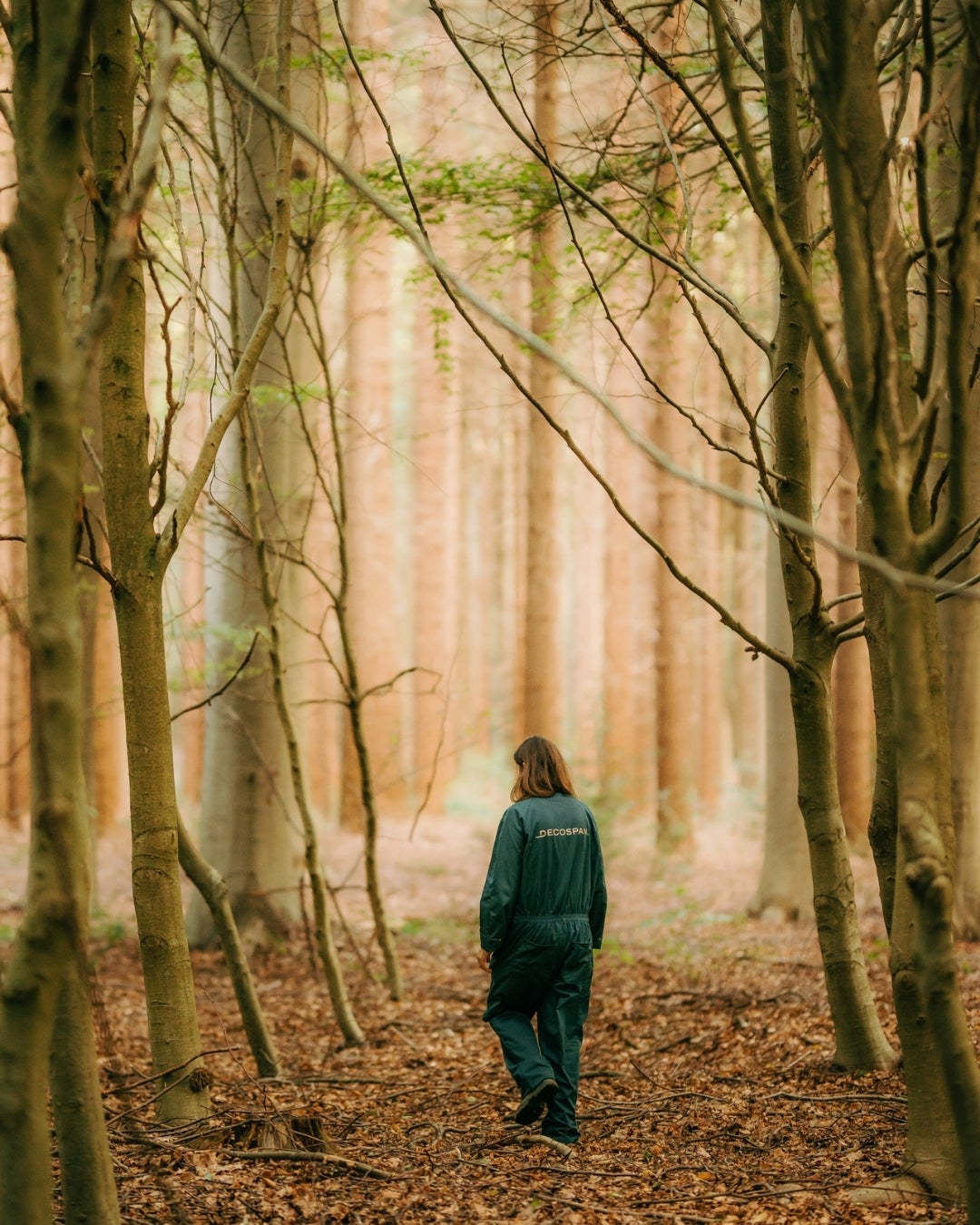 the spirit of wood - forest walk - Decospan