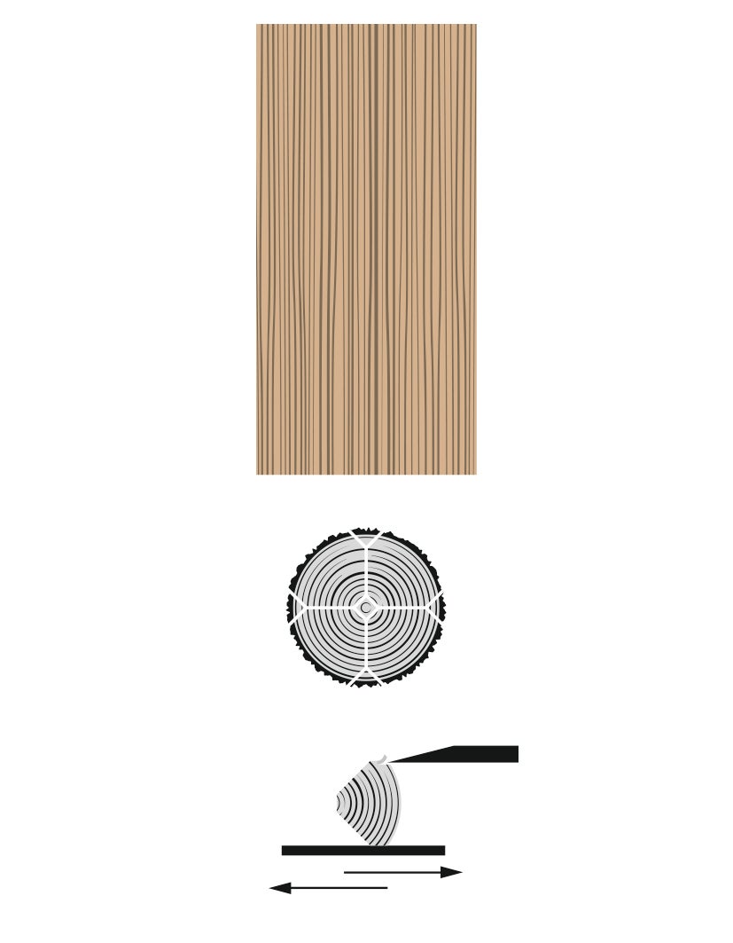 picture alternative text