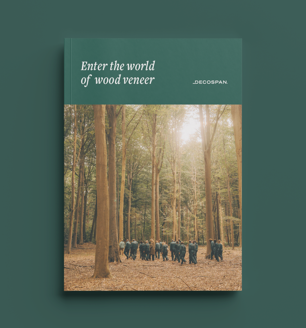 Wood veneer booklet - forest - world of wood veneer - decospan