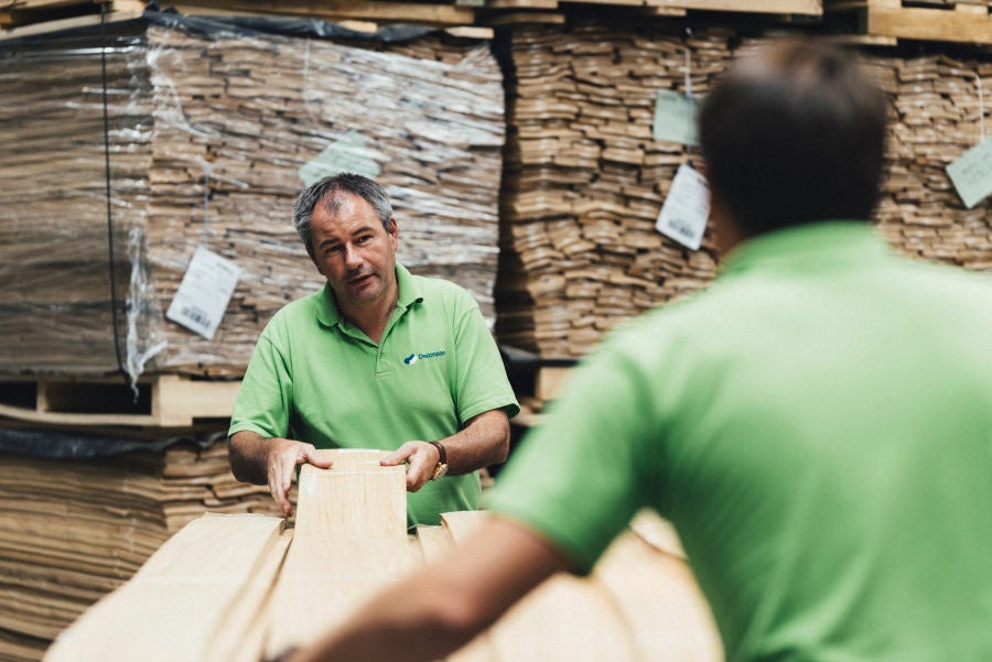 picture alternative text