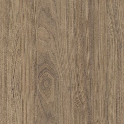 picture alternative text