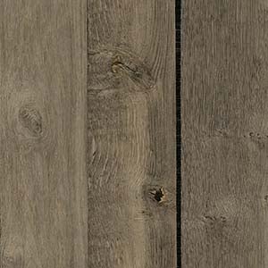 picture alternative text