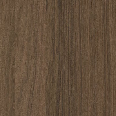 picture alternative text