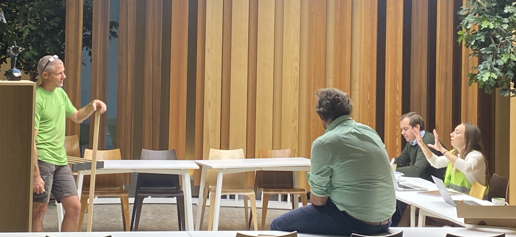 picture alternative text