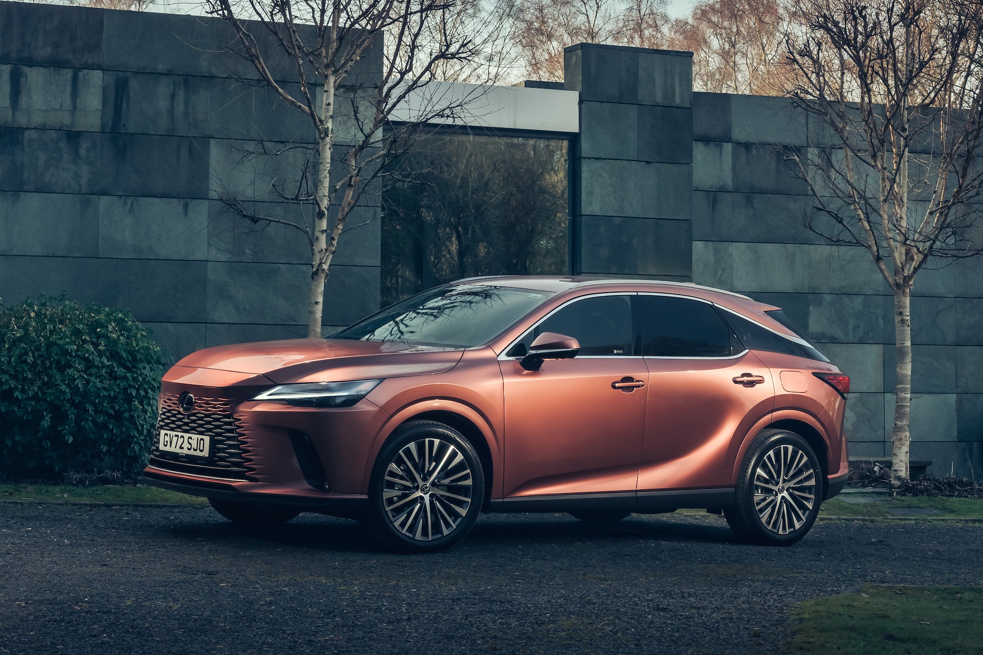 Lexus RX Review: static
