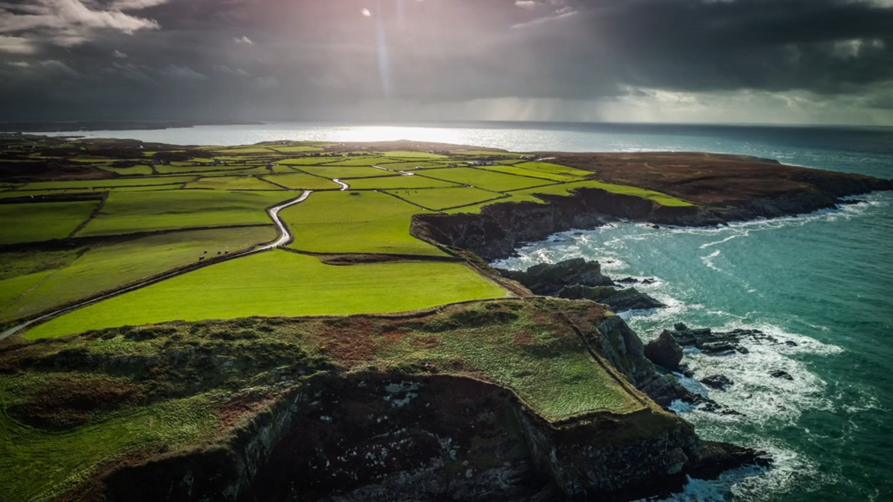 Aerial view of green fields along the Irish coastline