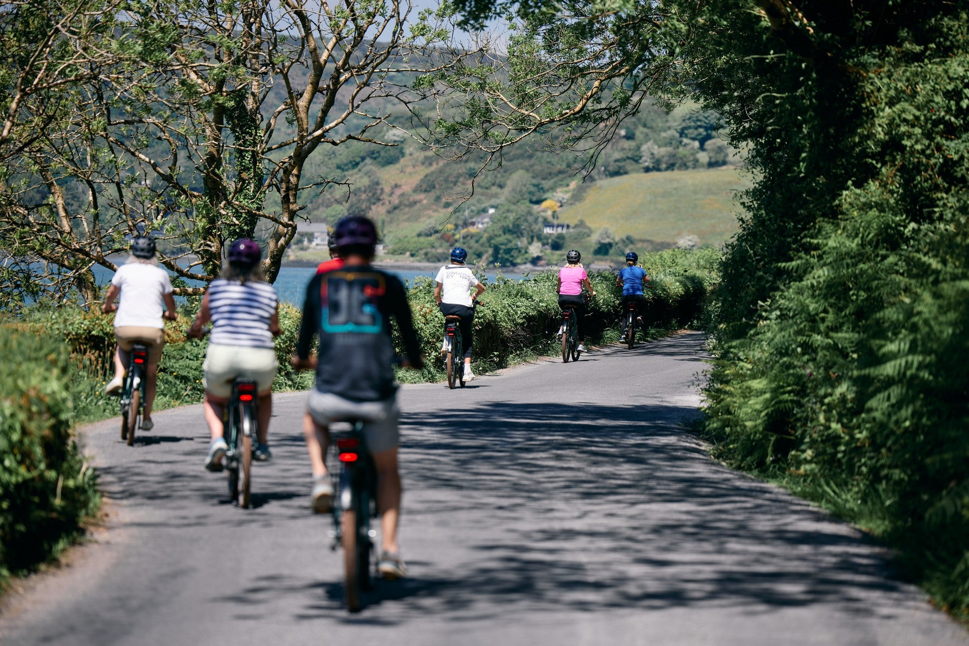 Group of cyclists riding along a scenic coastal road lined with trees on a bright summer day