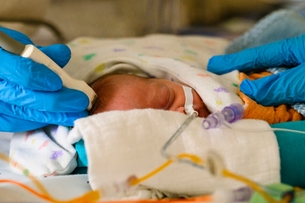 Utrecht Brain Conference 2024