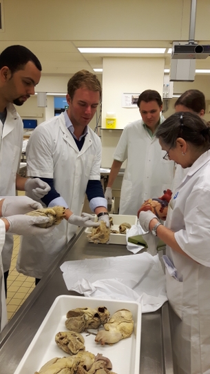 Cursus Anatomie, Fysiologie, Pathologie