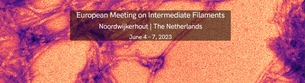 European Conference on Intermediate Filaments in Health and Disease - EURO IF 2023.

The registration fee covers the conference costs, accommodation, all meals and a social program
