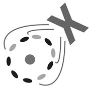 Voortentamen CCVX Wiskunde B 17 december 2024