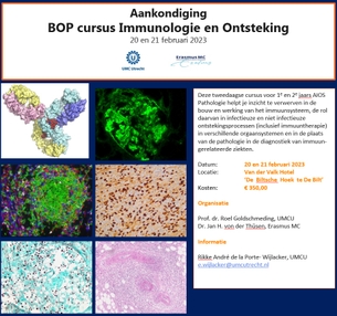 BOP cursus Immunologie en Ontsteking