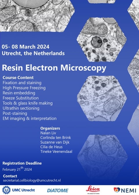 Resin Electron Microscopy 2024