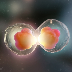 HTA (UMCU medewerker) 17-11-2021