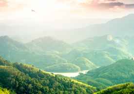 Zelené kopce so stromami a riekou