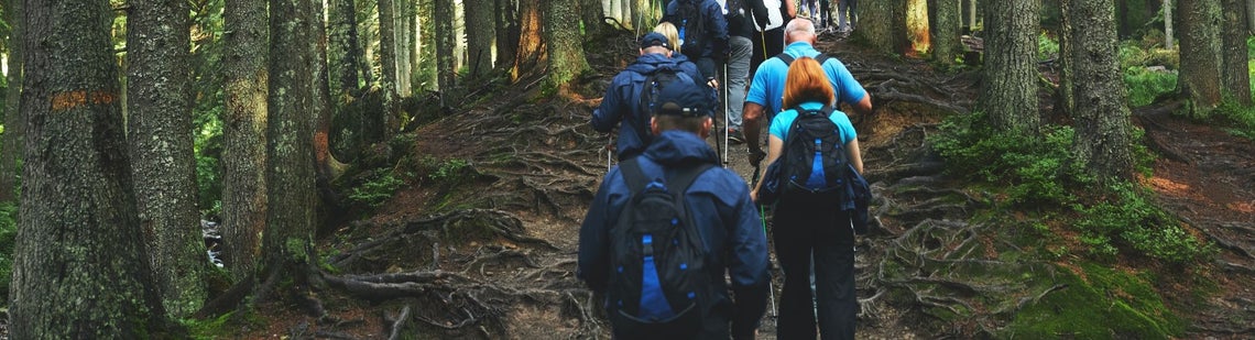 Skupina lidí na túře v lese