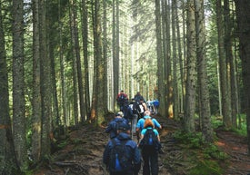 Skupina lidí na procházce v lese