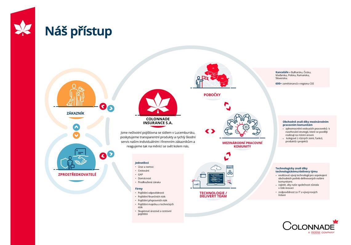 Schéma společnosti
