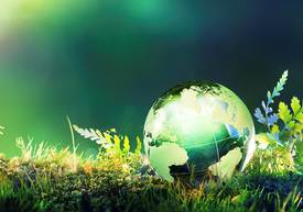 Pojištění environmentálních rizik 